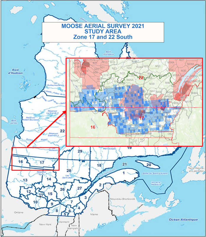 Nation Moose survey results confirm concerns about declining population