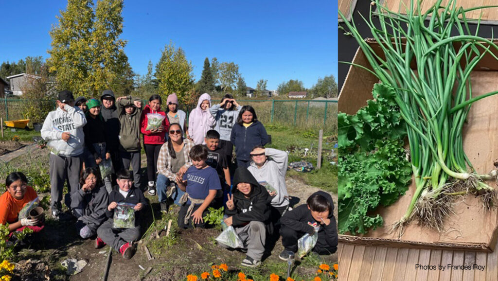 Growing Your Own – Waswanipi projects address food insecurity